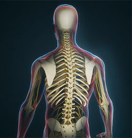 Cervical Deformities